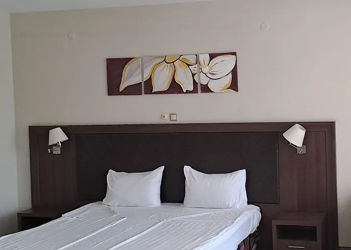 Sana Hotel 3*