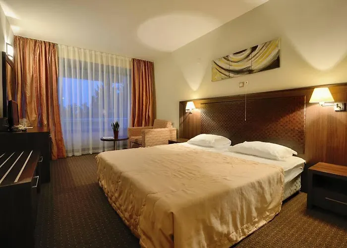 Hotel Sana 3*